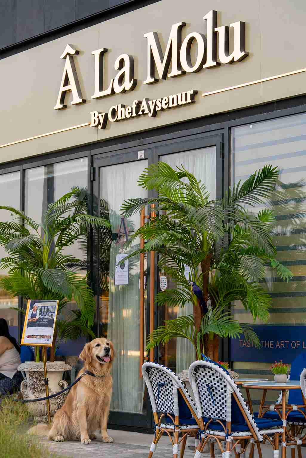 Dog-friendly seating at Â LA MOLU