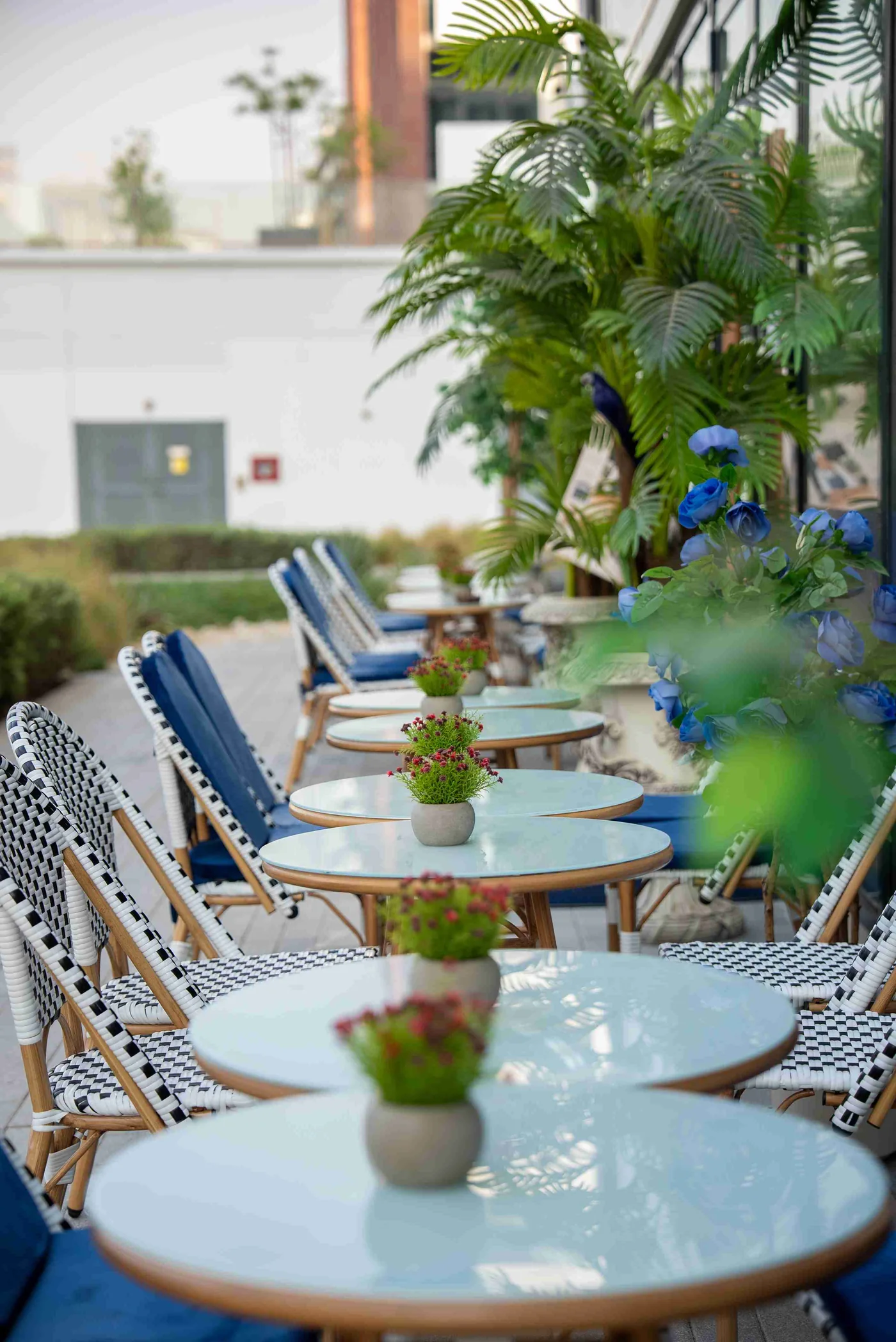 Outdoor seating at Â LA MOLU